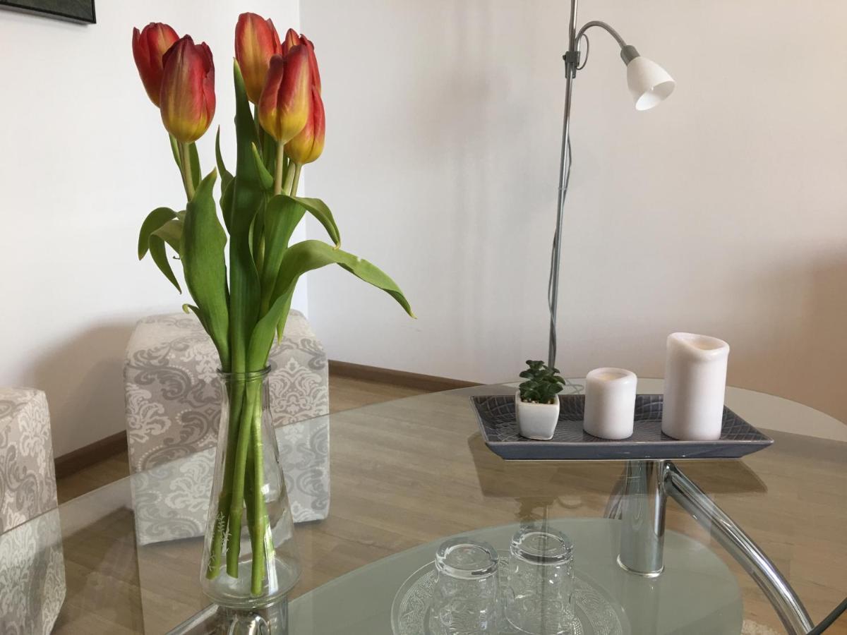 Elegantza Suites 브라쇼브 외부 사진